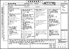 Vehicle Inspection Result Slip